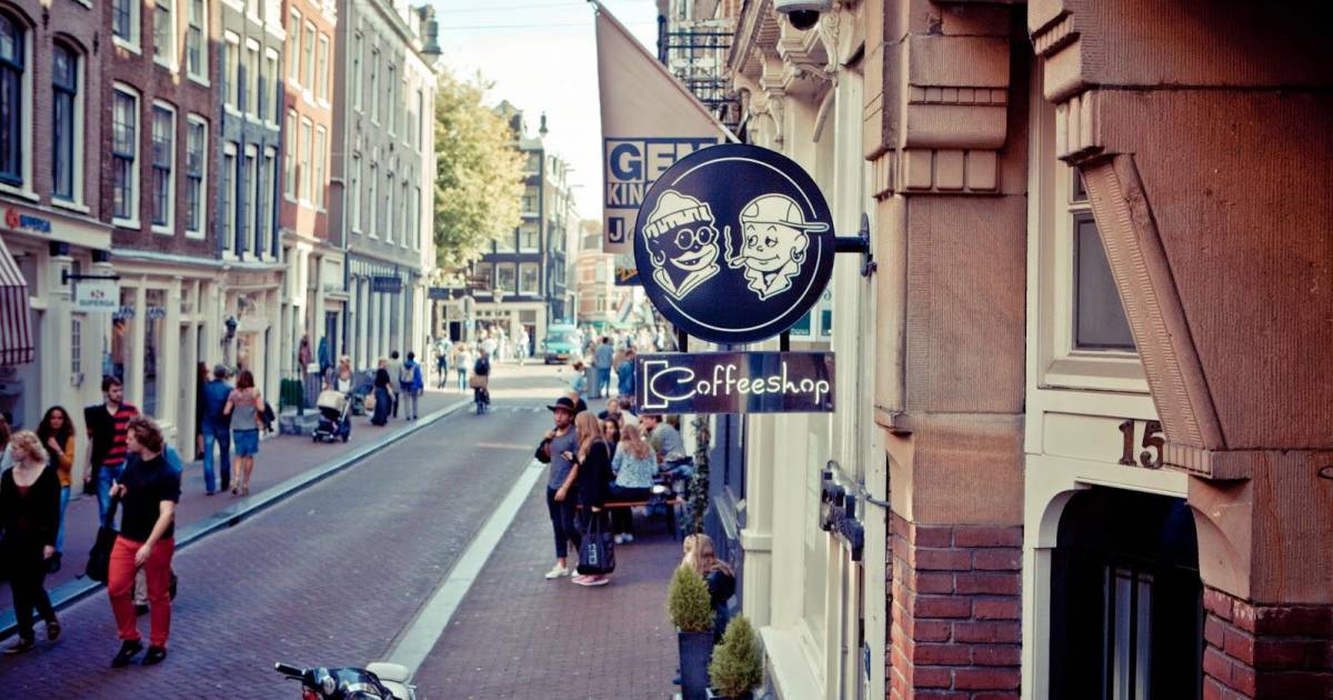 Best Friends Center à Amsterdam, les PaysBas