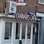 The cannabis cafe