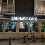 The cannabis cafe