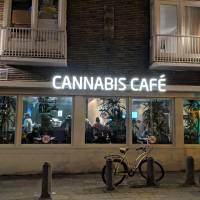 The cannabis cafe