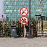 Cannacenter Best Friends Zuidoost
