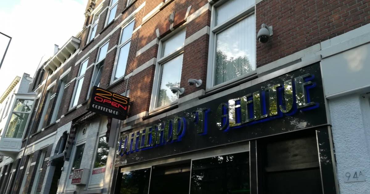 't Geeltje in Rotterdam, Nederland