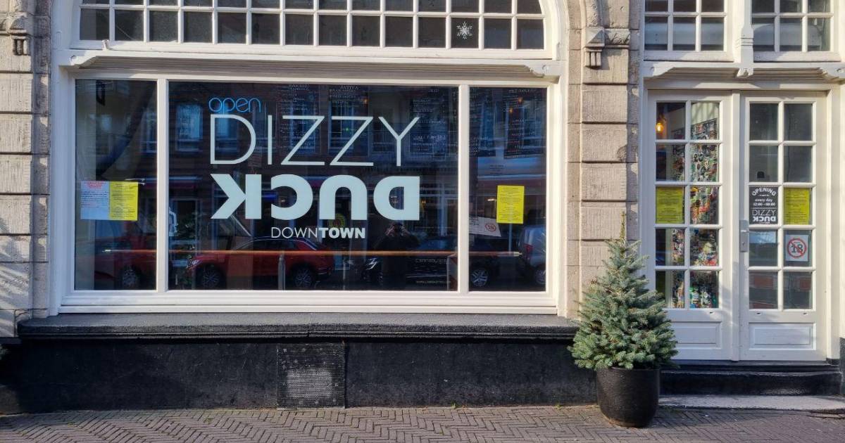 coffeeshop-dizzy-duck-downtown-in-den-haag-the-netherlands