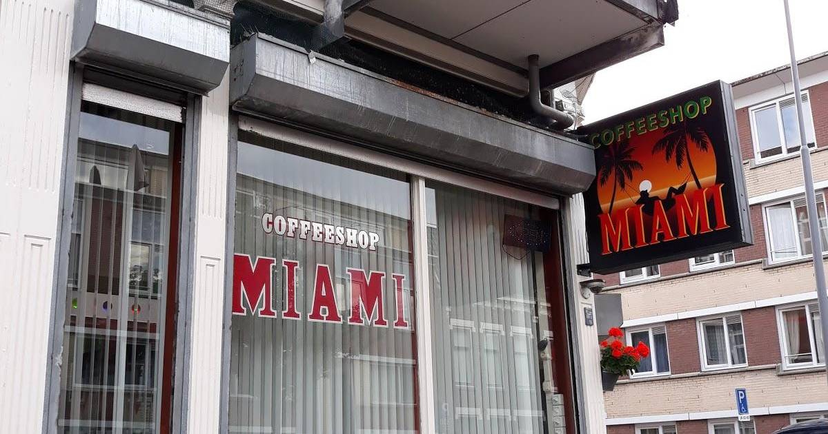 Coffeeshop Miami Rotterdam In Rotterdam Dutchcoffeeshops Com