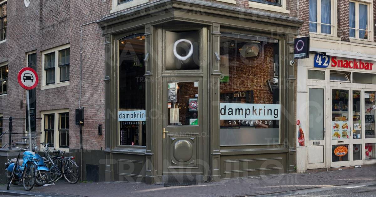 Greenworld Pablo Picasso à Amsterdam, les PaysBas