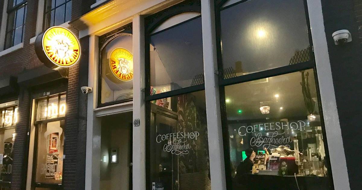 Coffeeshop Bagheera