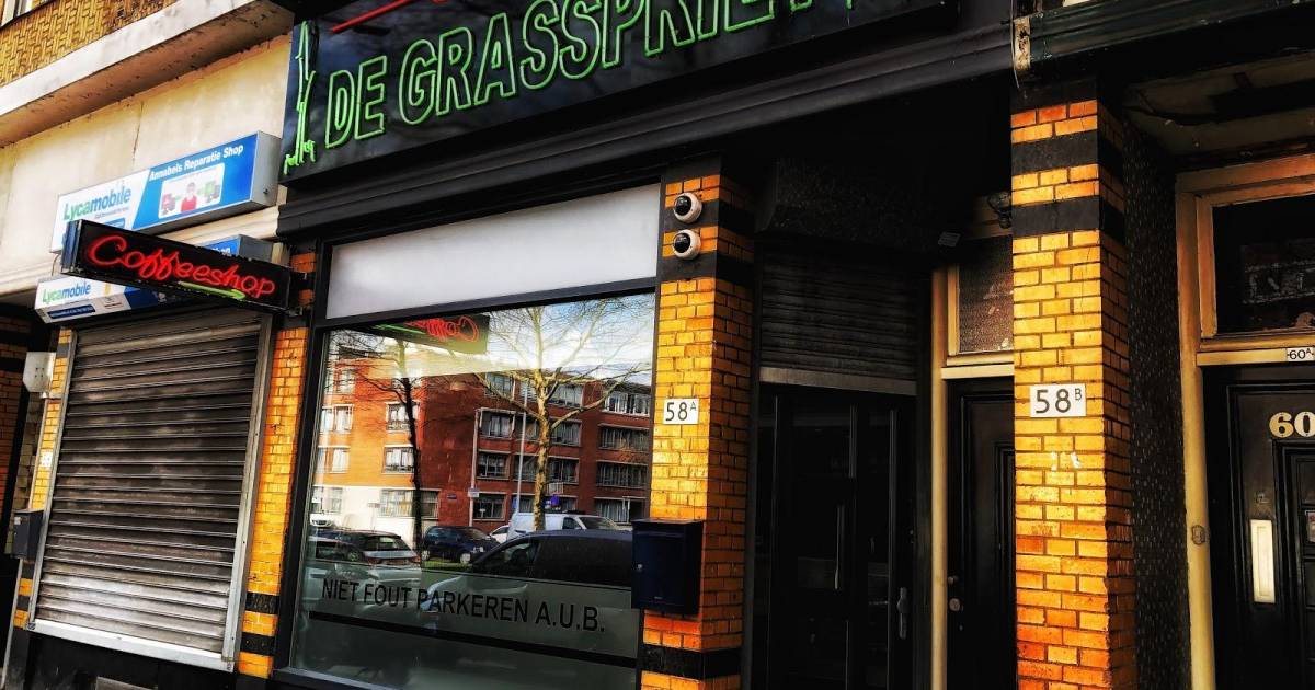 De Grasspriet