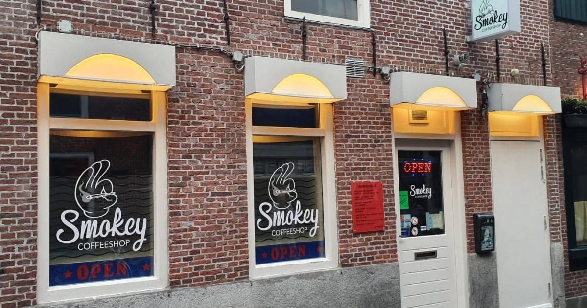 Coffeeshop American