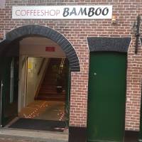 Coffeeshop bamboo