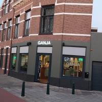 Coffeeshop Ganja | Scheveningen