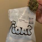The Goat Coffeeshop