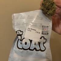 The Goat Coffeeshop