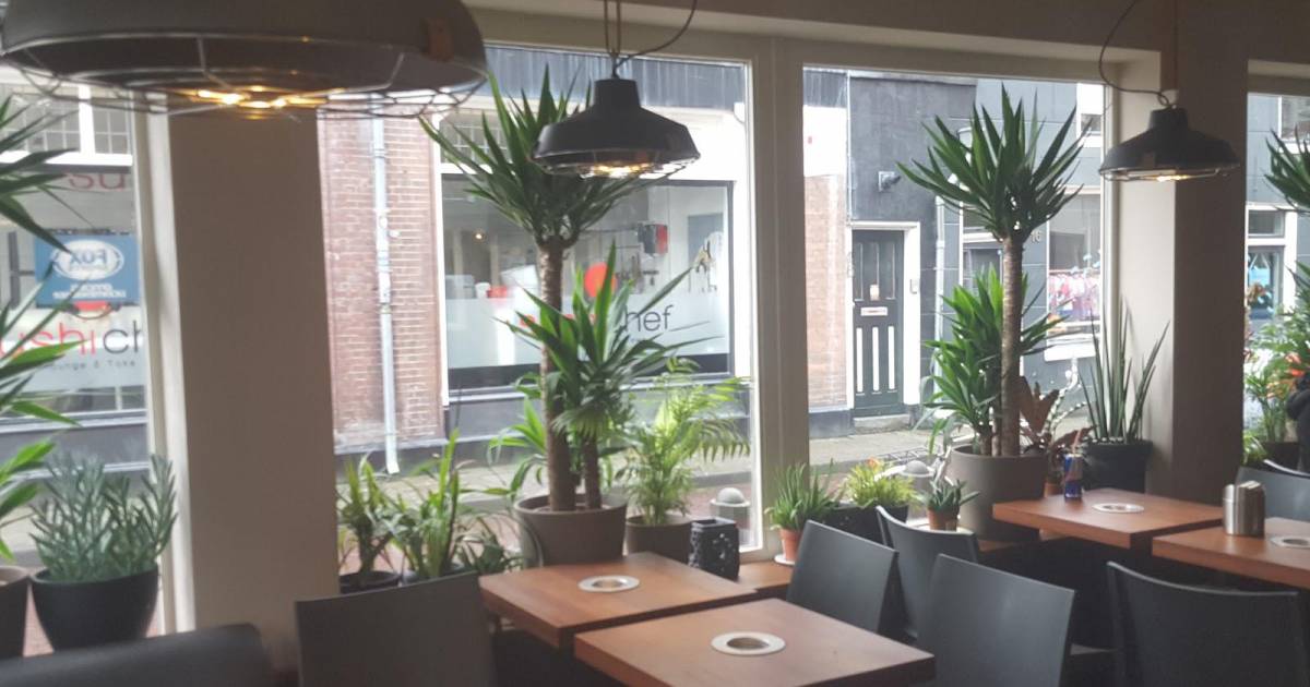 Maximillian in Haarlem, Die Niederlande