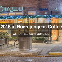 Boerejongens Coffeeshop West Amsterdam