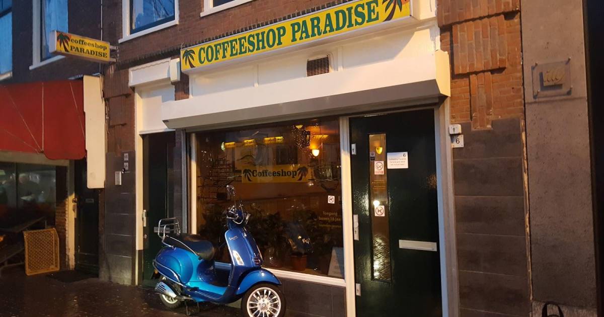 Paradise à Leiden, les PaysBas