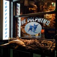 THE DOLPHINS COFFEESHOP